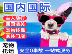 中卫沙坡头航空运输国际宠物托运 【国